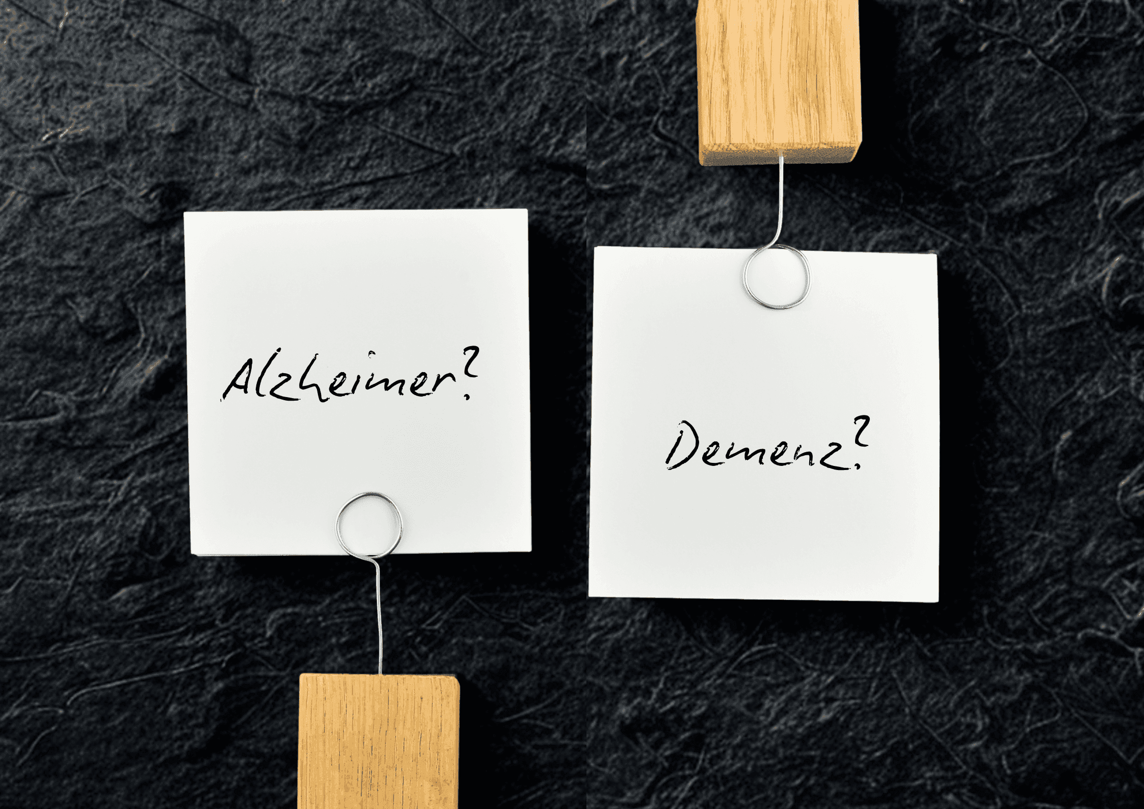 Zwei weisse Notizzettel auf Schieferplatte, auf dem linken steht "Alzheimer?" und auf dem rechten steht "Demenz?".