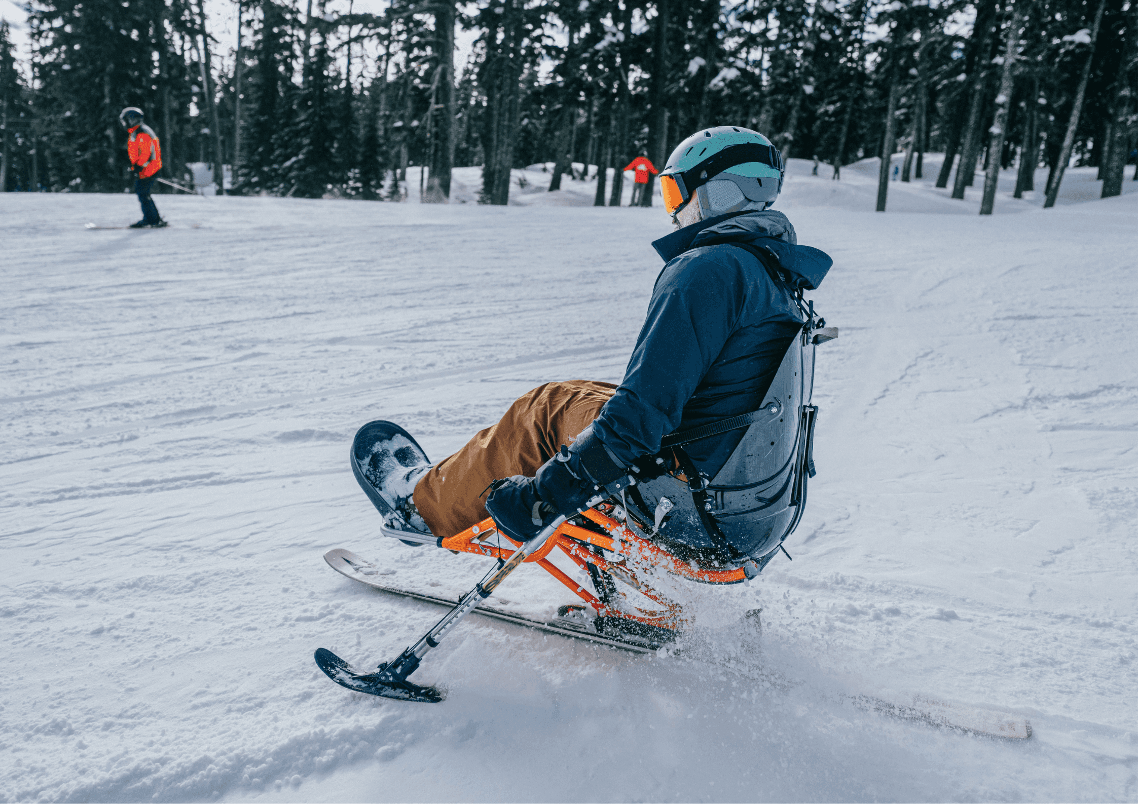 Mann sitzt auf einem Mono-Ski und fährt auf einer Piste